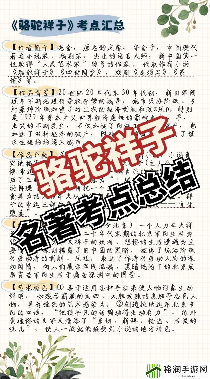 驴打滚儿新潮考点的网络狂欢