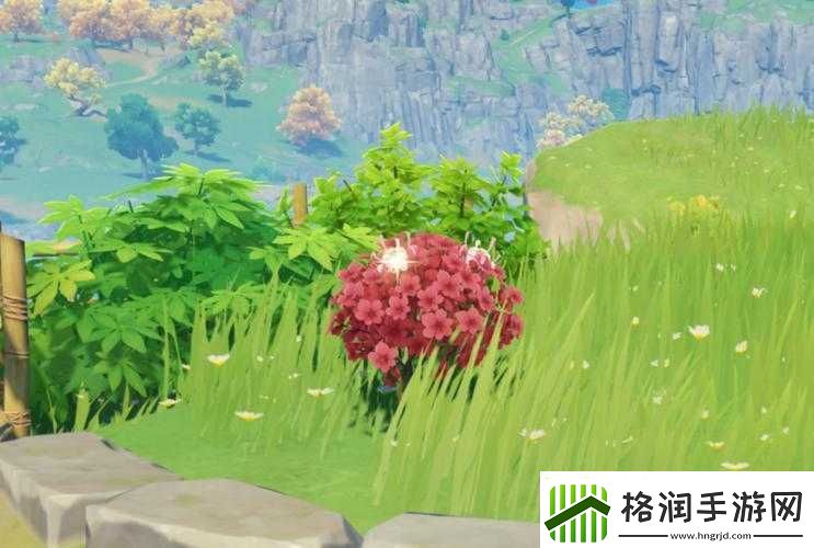 以赤念果之华彩绘锦篇——原神果品采集全攻略之赤念果分布图详览