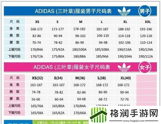 “三叶草”编码风云