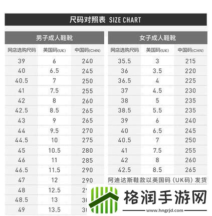 “三叶草”编码风云