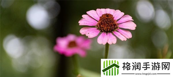 jk裙子里的两根绳子有什么用