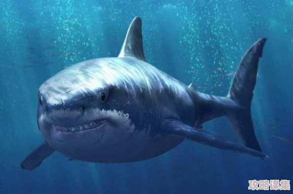 海鲨之王PVE霸主之路