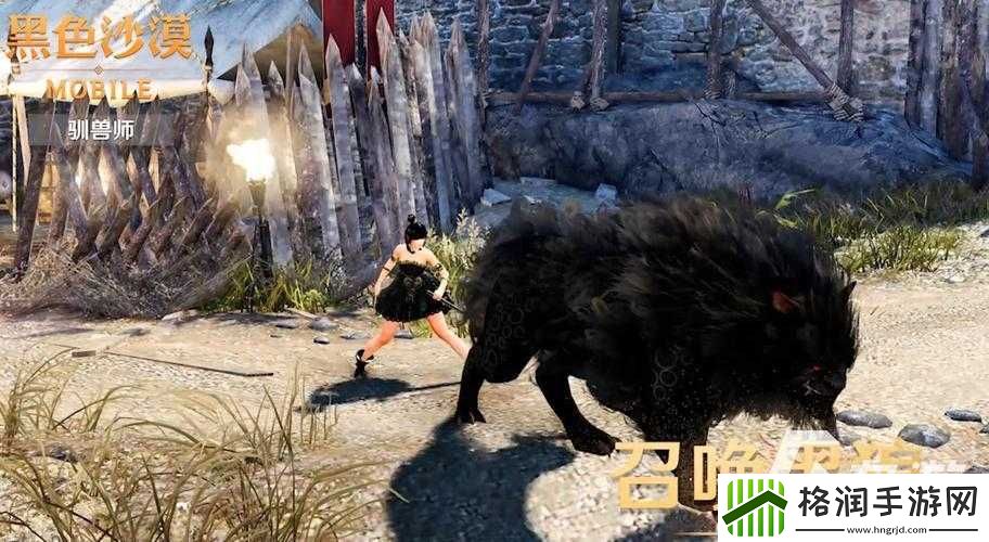 不朽之旅驯兽师攻略