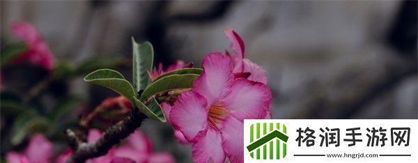 头等舱特殊待遇2