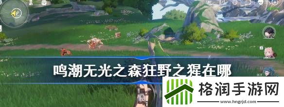鸣潮无光之森狂野之猩在哪