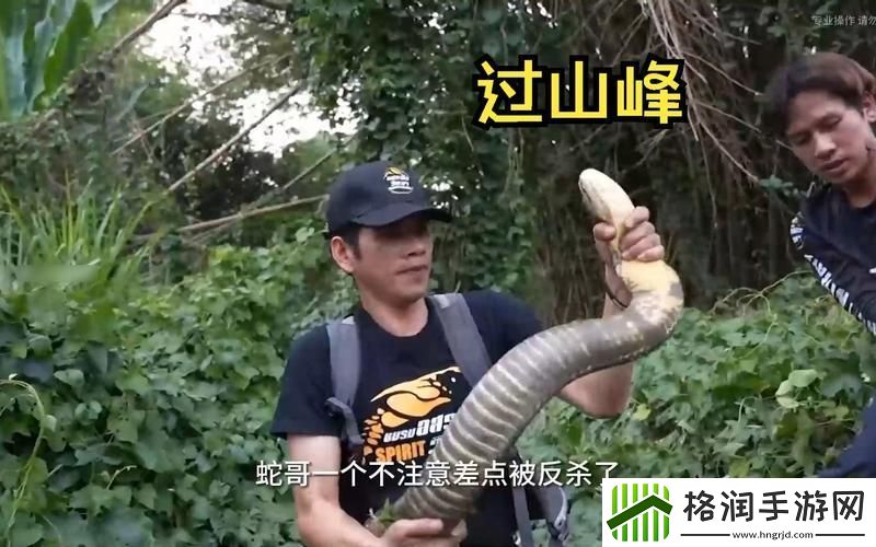 “抓班主任”的山峰视频