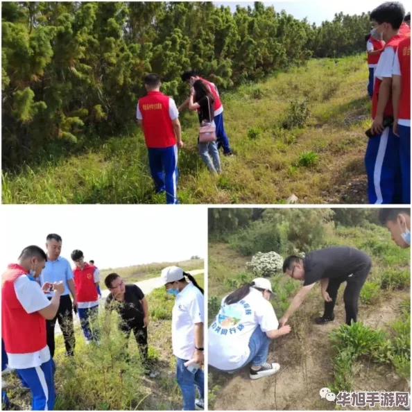 2016部落冲突革新版