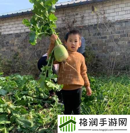 拔萝卜又叫黄降9.1