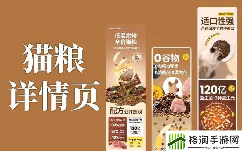 好大赛的满满的全面解析之深度剖析