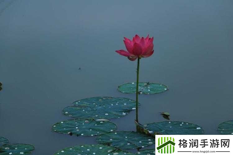 首辅每天要不够