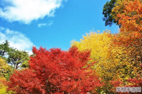 日本亲子乱游记