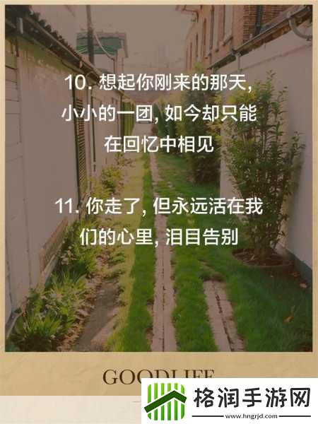 我想你高清MV观看视频1.追忆与思念交织的高清MV