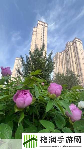 国色天香A区与B区