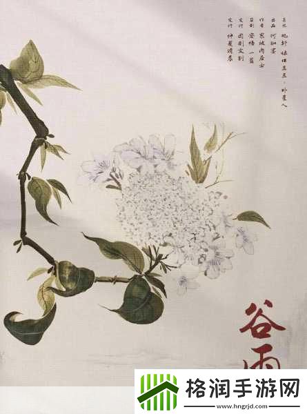 红豆影视传媒有限公司