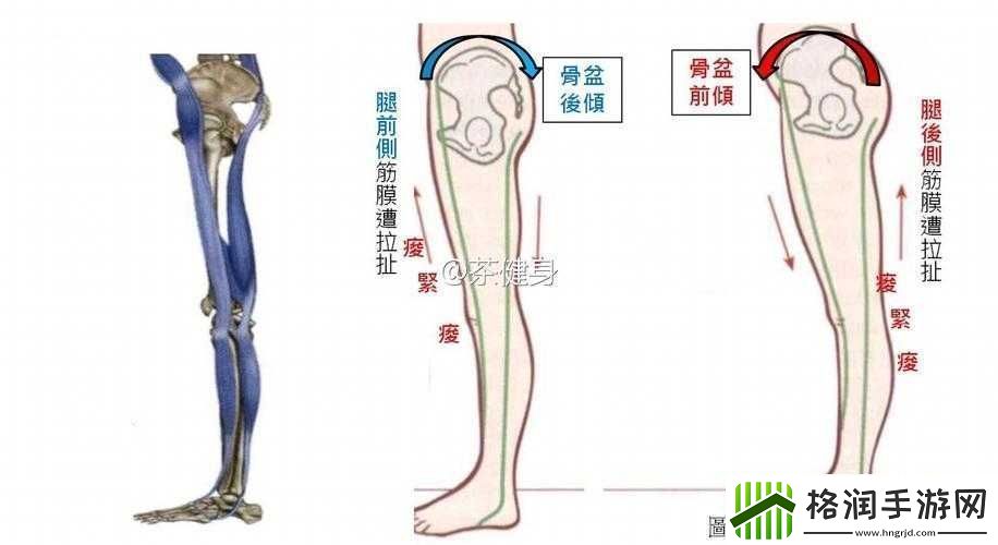 腿分太开会不紧吗