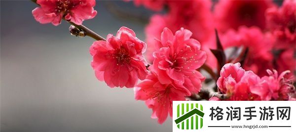 冯珊珊户外任务大全