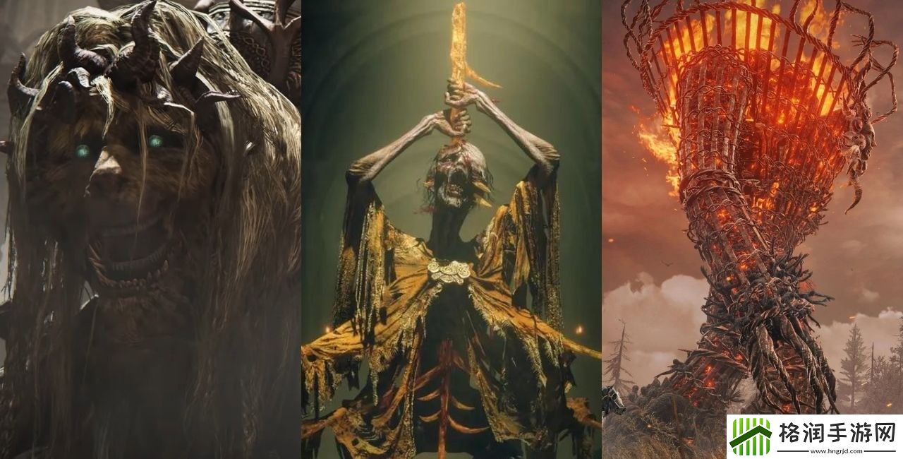 粉丝认为艾尔登法环