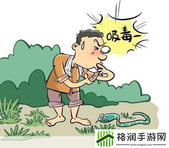 嘴吸蛇毒是正确的吗用嘴吸蛇毒真的有用吗蚂蚁庄园
