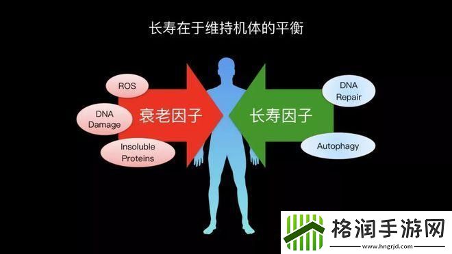 嘘！人类DNA与驴子DNA的神秘纠缠