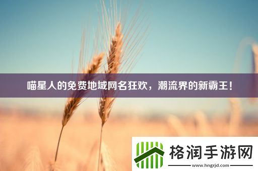 喵星人的免费地域网名狂欢