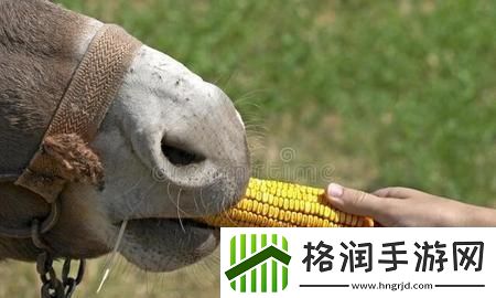 傻大壮“驴样”奇观