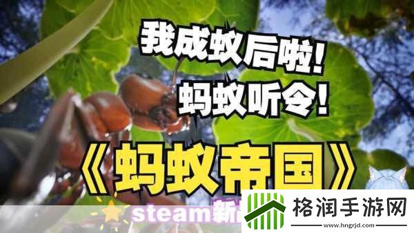 独家揭秘Steam新宠Ant