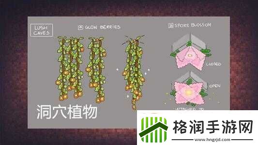 我的世界中藤蔓的多种用途详细介绍与全面分析