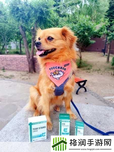 坐在根茎写作业好吗终于重新运营