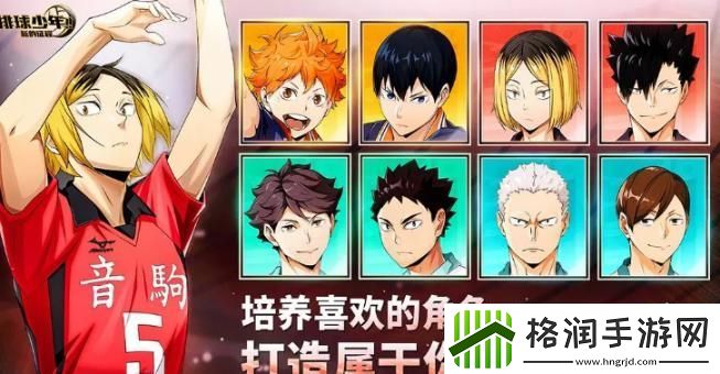 排球少年新的征程新手池选哪个