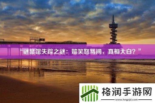 “谜案馆失踪之谜