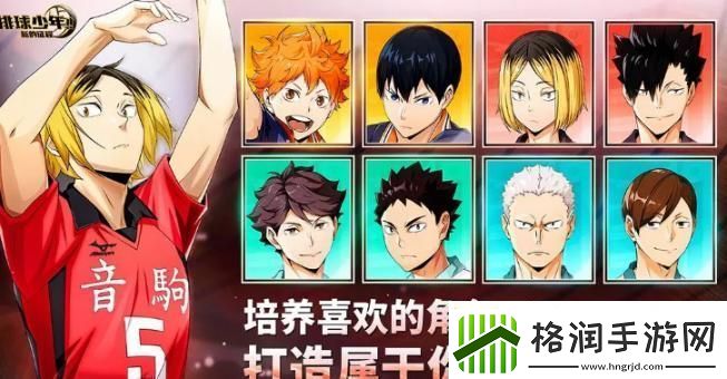 排球少年新的征程新手池选哪个