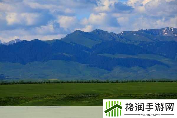 伊犁园20233秒转入被黑科技成