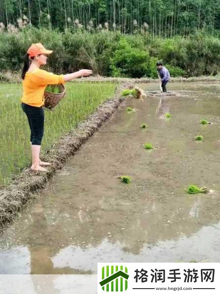 情侣的30种插秧法图片视频无法观看