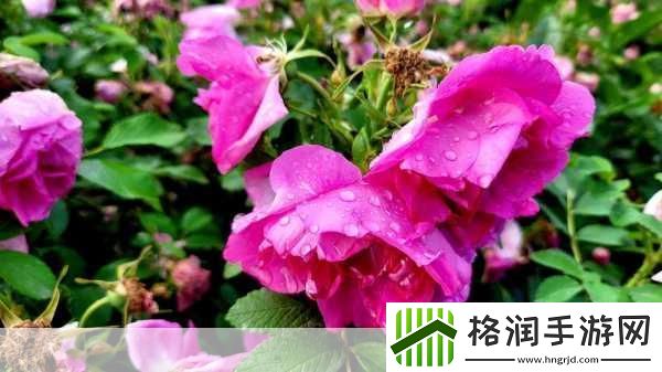 兰州情侣8分46秒视频惊艳络