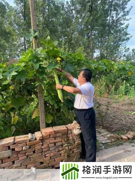 围棋西游记深度攻略