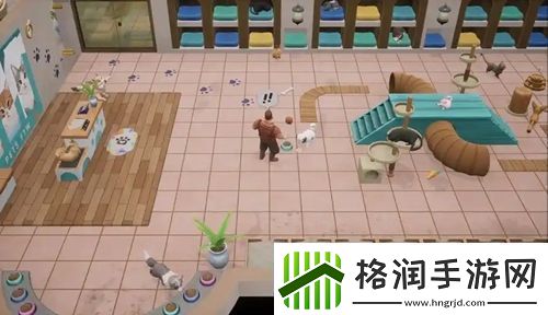 珊瑚岛卢克的狗位置介绍