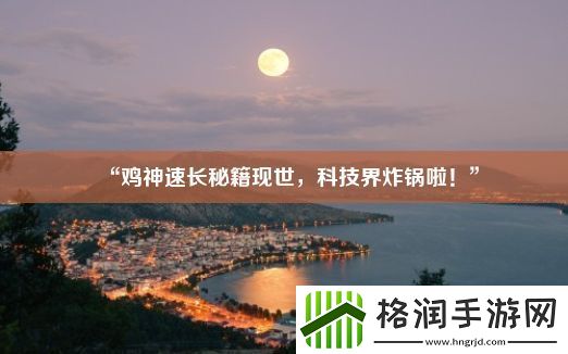 “鸡神速长秘籍现世