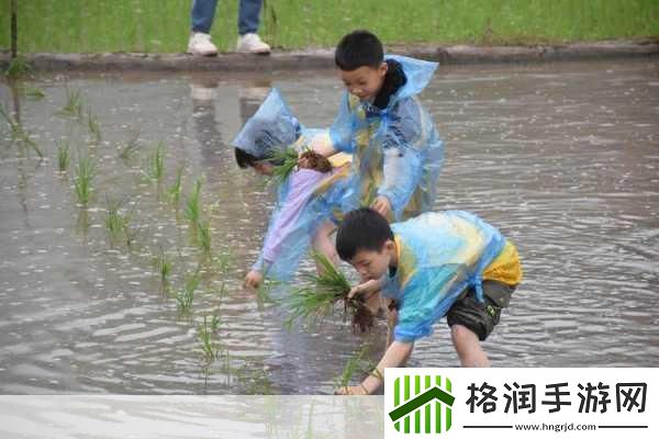 夫妻插秧100种方法图片大全