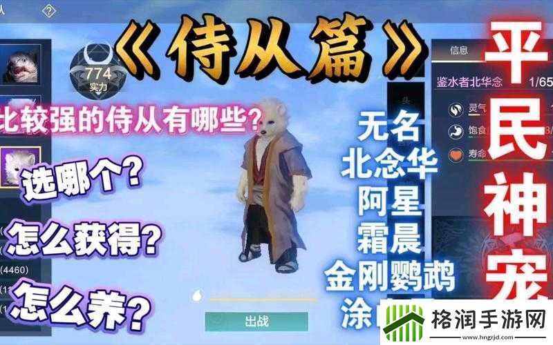 关于妄想山海侍从战力下降的深度解析