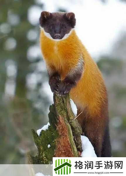 七日世界新版本震撼登场