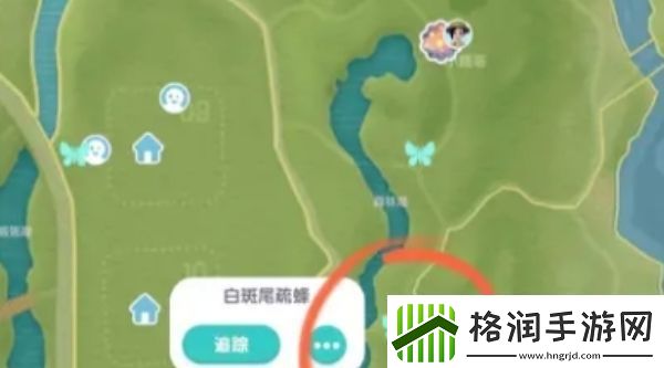 心动小镇手游白斑尾梳蜂在什么位置