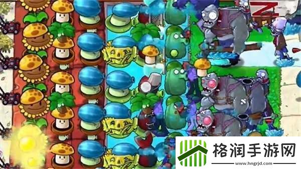 植物大战僵尸杂交版冒险模式第43关攻略