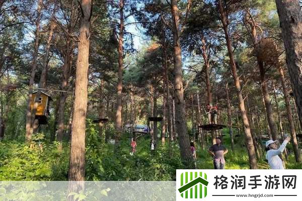 给我看一下你的森林