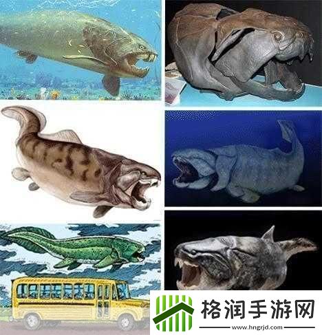 得到超级肉禽系统的紫岭红山有什么特别之处