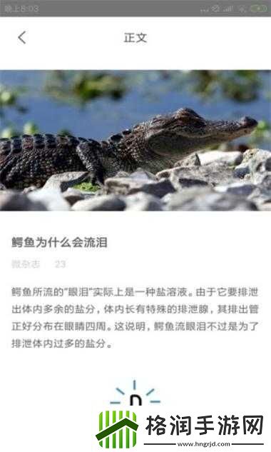 小猪草莓丝瓜深夜释放自己歌词探索及相关分析