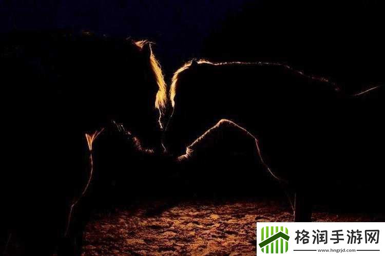 黑暗与光明中神秘的马究竟身处何方令人苦苦追寻