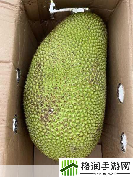 菠萝蜜一线二线三线品牌