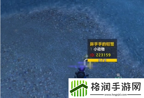 魔兽世界蓝玉蟹宠物怎么获得