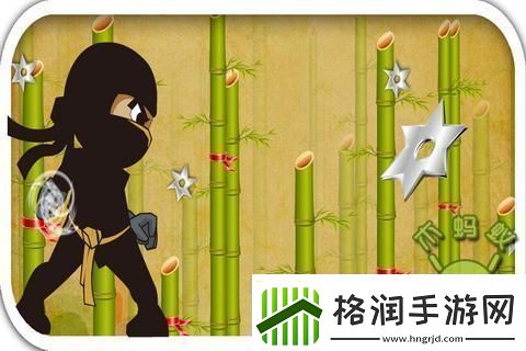 竹中忍者的另类修炼