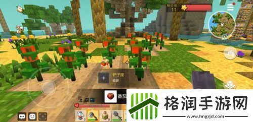 手工星球怎么种植开垦荒地种植方法介绍